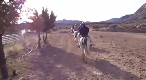 best price on horseback riding in the las vegas area